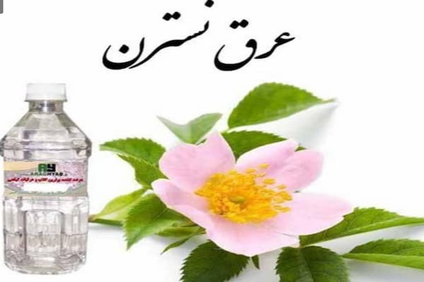 تصویر 2 از خرید عرق شاه نسترن + قیمت فروش استثنایی